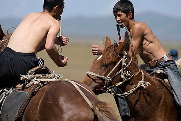 Soi dong mua le hoi vua cuoi ngua vua hon